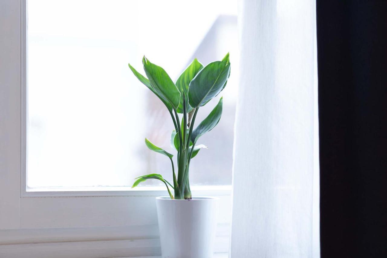 Apartment 54 - Ferienwohnung Abádszalók ภายนอก รูปภาพ